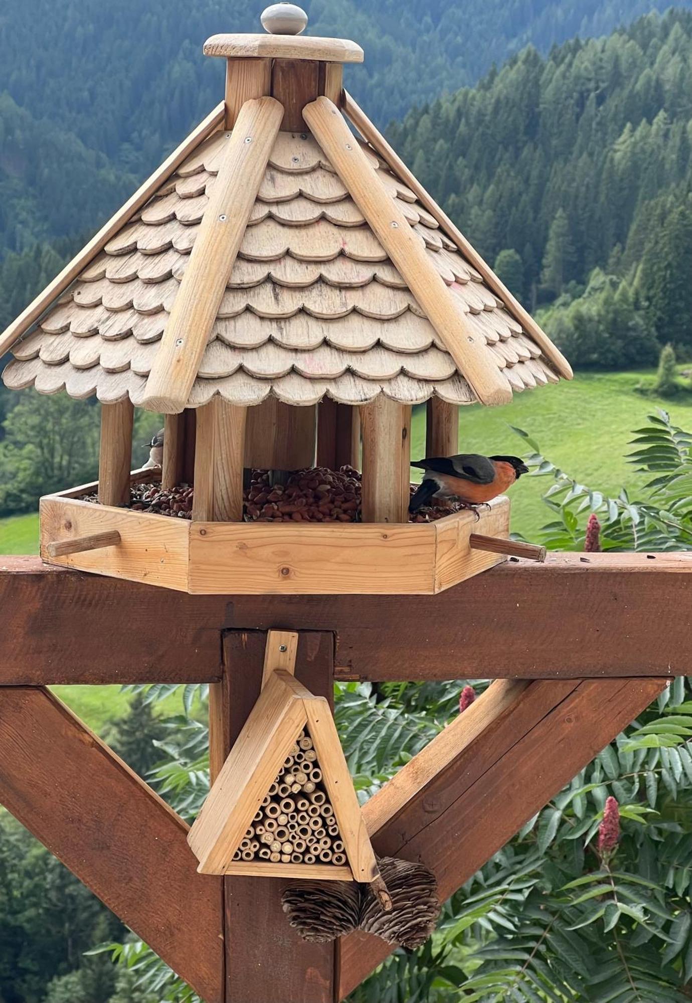 Apartament Poelstaler Berghuette Oberzeiring Zewnętrze zdjęcie
